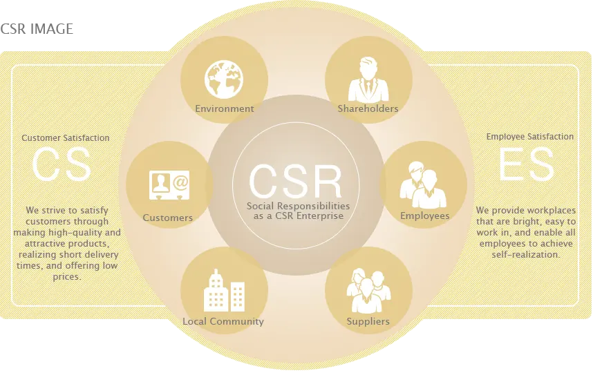 CSR Image